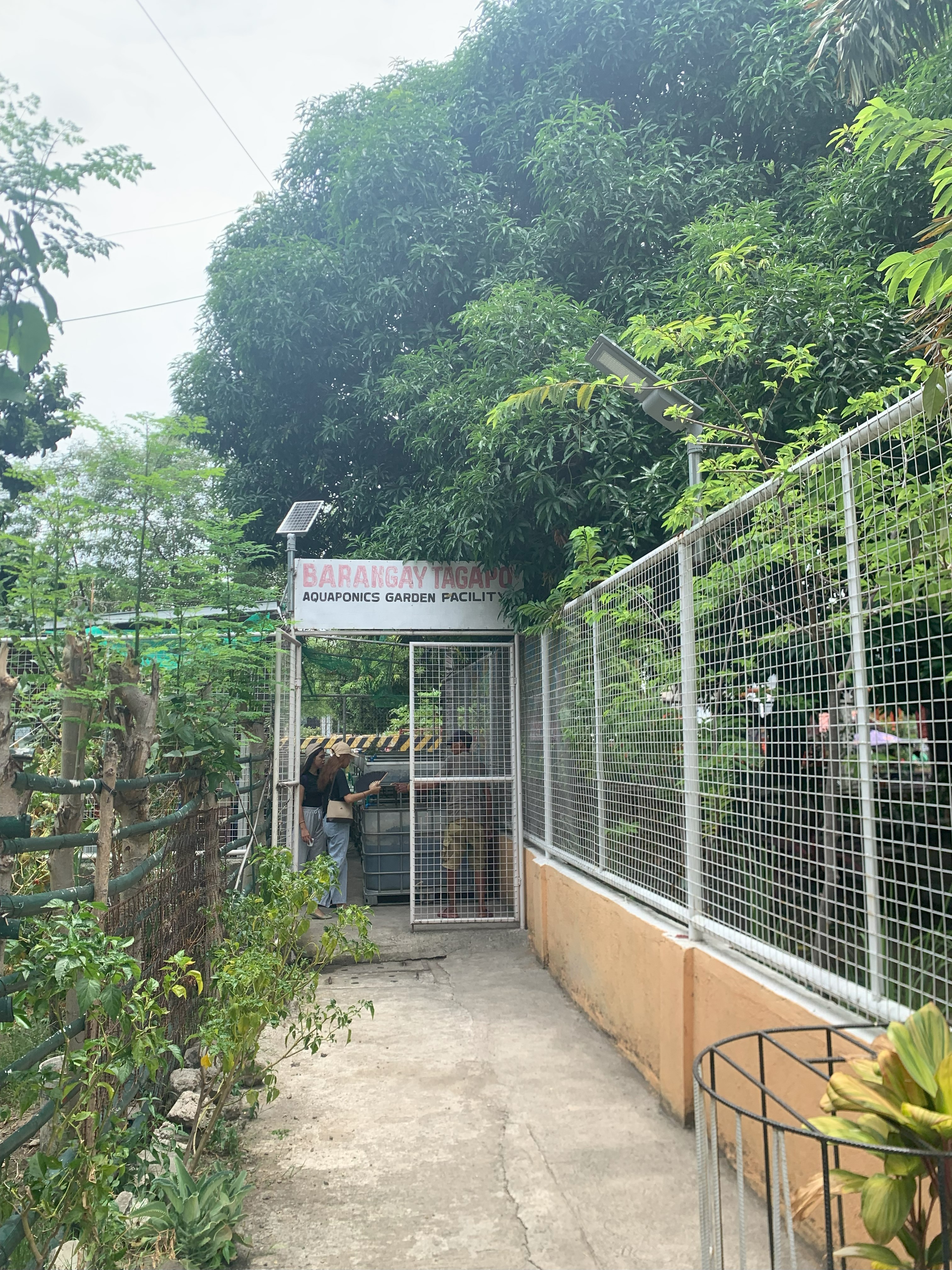 Aquaponics Garden Facility