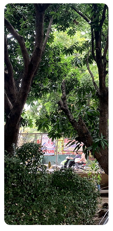 Tree Area Banner 2