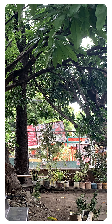 Tree Area Banner 3
