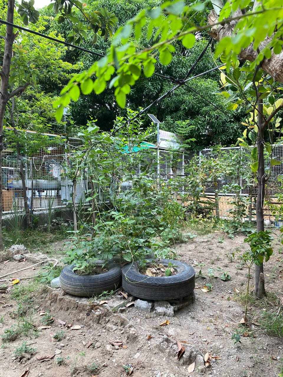 HAPAG Project project photo 4