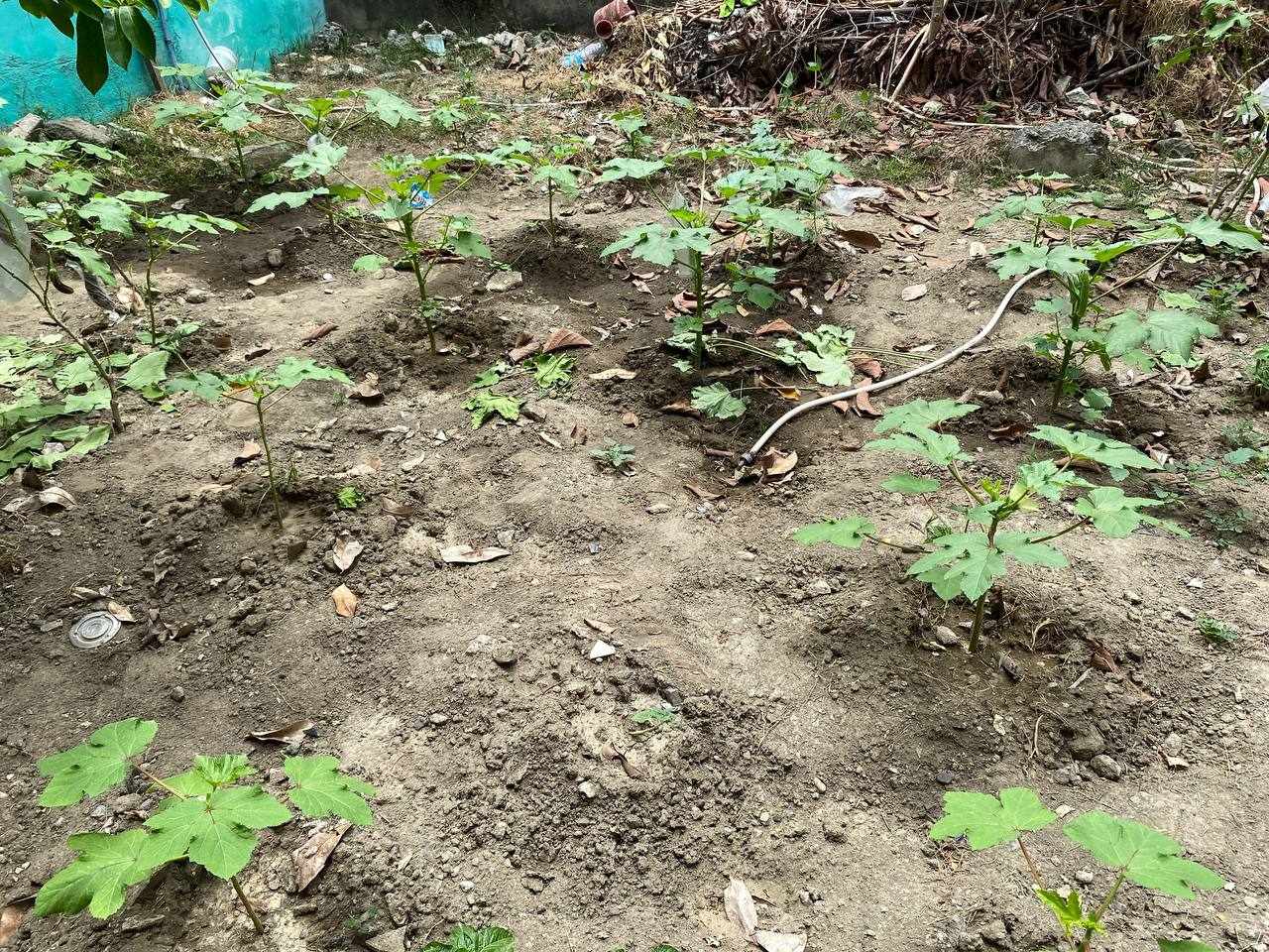 HAPAG Project project photo 2